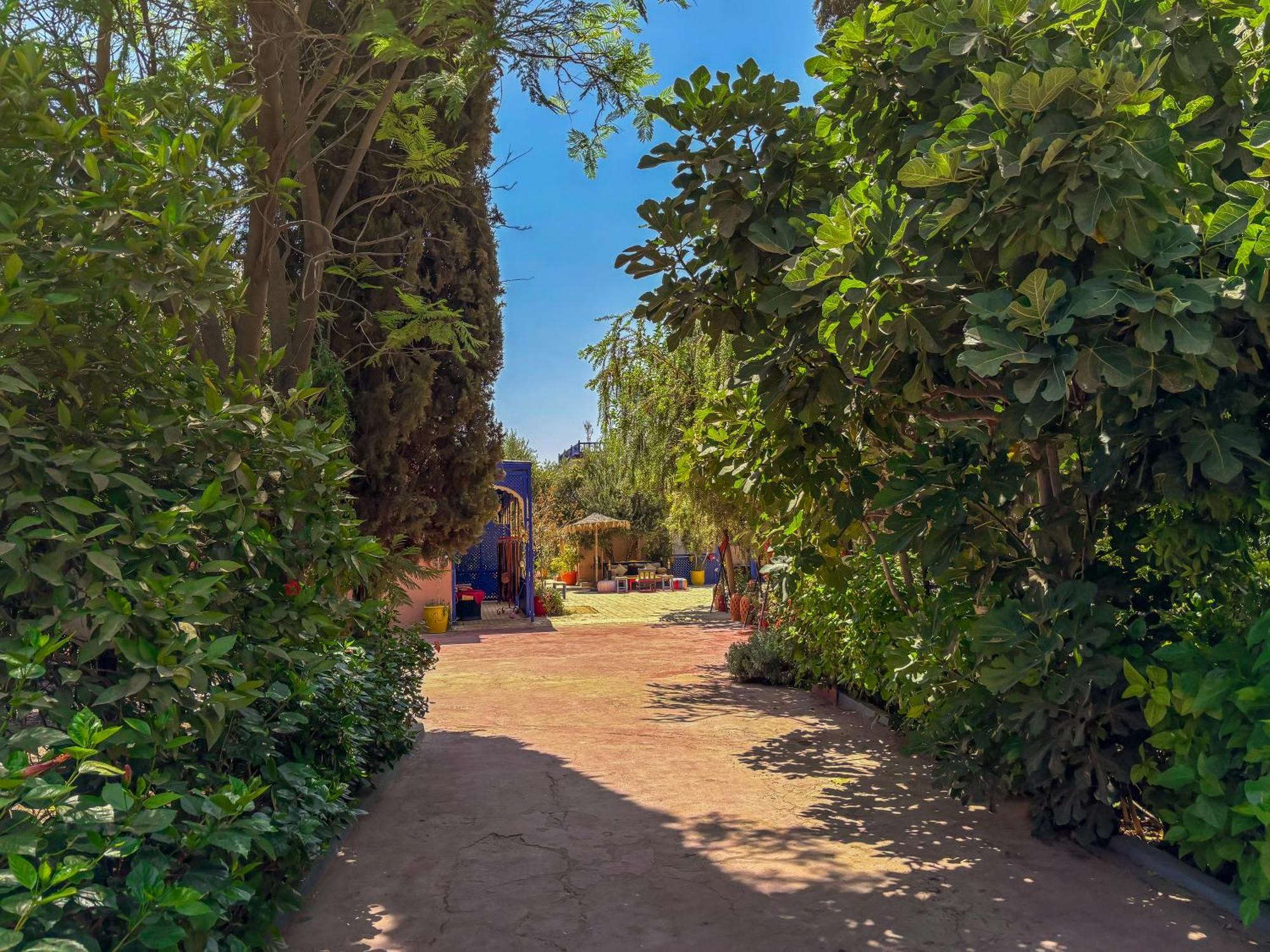 Bed and Breakfast Le Bleu House Sidi Abdallah Ghiat Zewnętrze zdjęcie